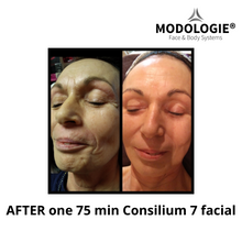 Load image into Gallery viewer, Consilium 7 facial device